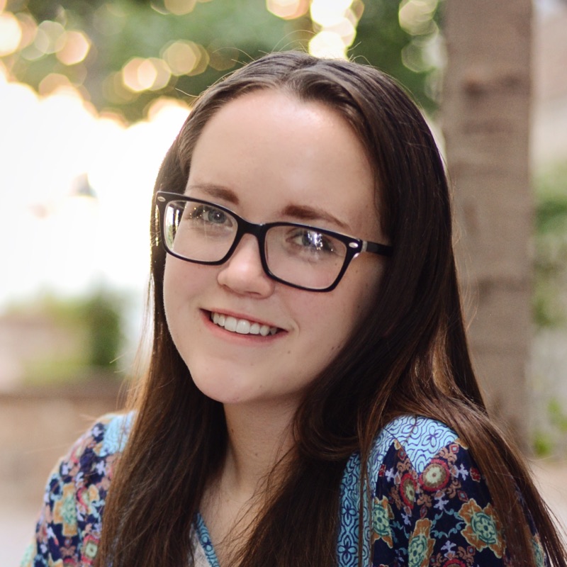 Alisse Larkin, RD, CLC, Registered Dietitian