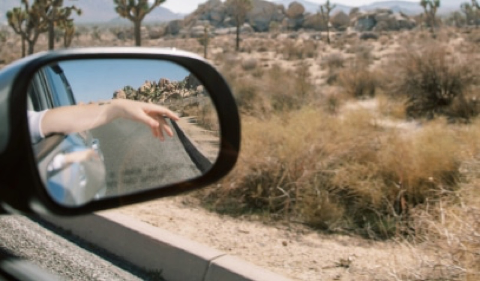 Functional Foods to Pack for Summer Road Trips
